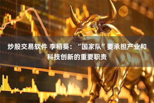 炒股交易软件 李稻葵：“国家队”要承担产业和科技创新的重要职责